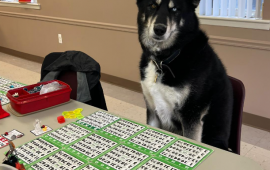 Playing Bingo!