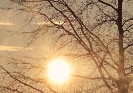 Golden Mornings Group