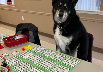 Playing Bingo!