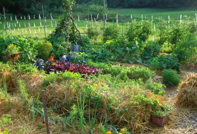 Community Garden