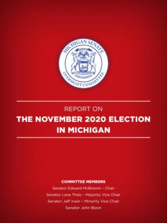 Report On The November 2020 Election in Michigan 