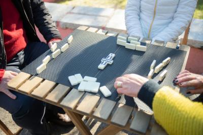 Chicken Foot Dominoes