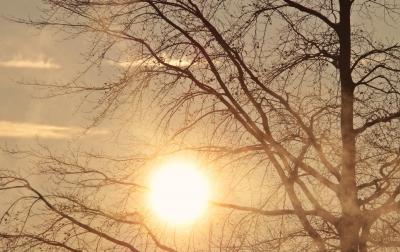 Golden Mornings Group
