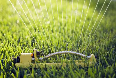 Lawn Sprinkler