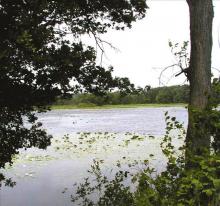 Pontiac Lake State Recreation Area